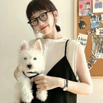 奈良晚秋 海报